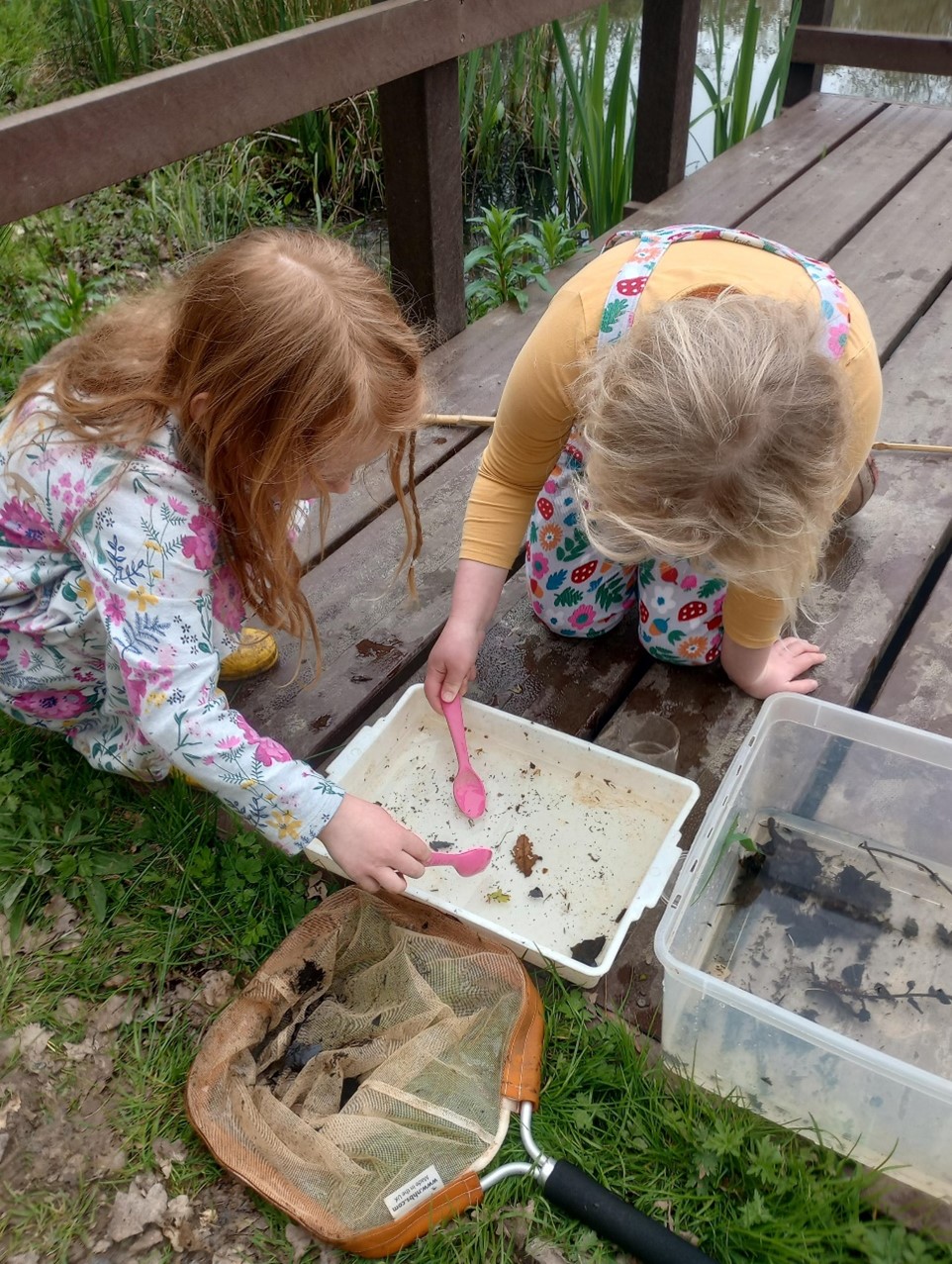Image of children pond dipping